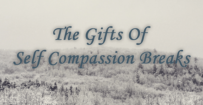 The Gifts of Self Compassion Breaks